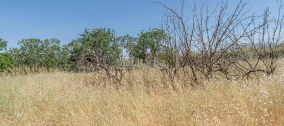 Terreno em Granada, Spain 1205 m² N.º 175749 2