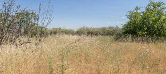 Terreno em Granada, Spain 1205 m² N.º 175749 6