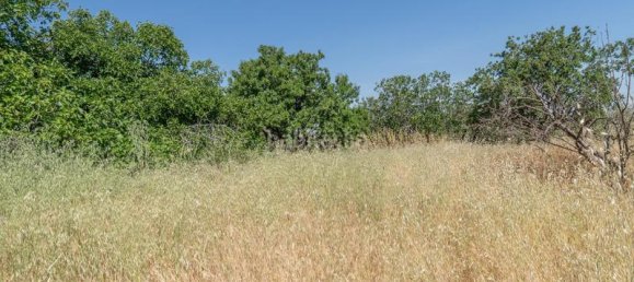 Terreno em Granada, Spain 1205 m² N.º 175749 3