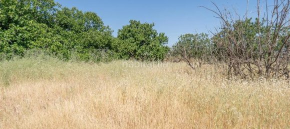 Terreno em Granada, Spain 1205 m² N.º 175749 7