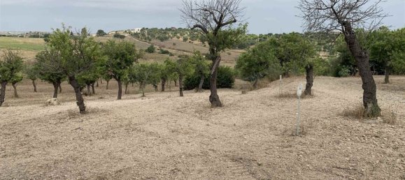 Земельный участок 12979м² в Ното, Италия № 78354 3