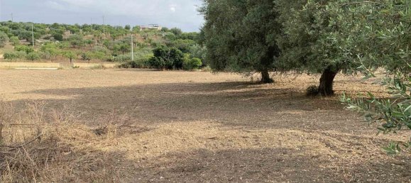 Земельный участок 12979м² в Ното, Италия № 78354 13