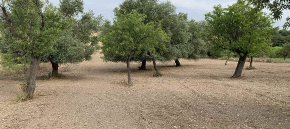 Земельный участок 12979м² в Ното, Италия № 78354 7