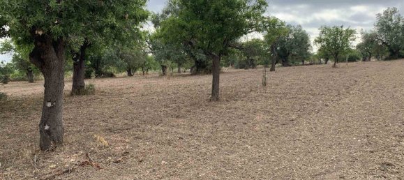 Земельный участок 12979м² в Ното, Италия № 78354 9