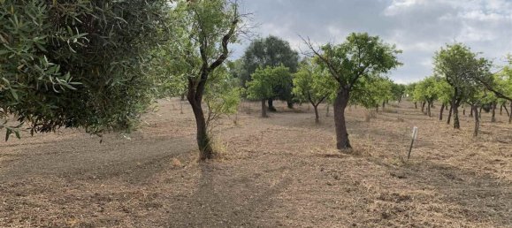 Земельный участок 12979м² в Ното, Италия № 78354 2