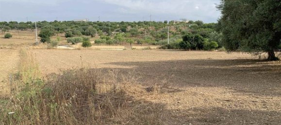 Земельный участок 12979м² в Ното, Италия № 78354 12