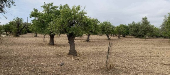 Земельный участок 12979м² в Ното, Италия № 78354 11