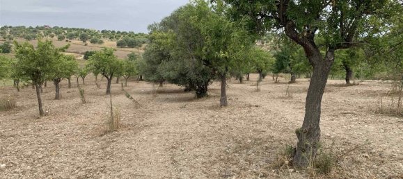 Земельный участок 12979м² в Ното, Италия № 78354 10