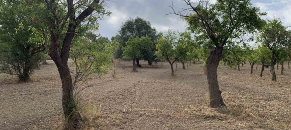 Земельный участок 12979м² в Ното, Италия № 78354 6