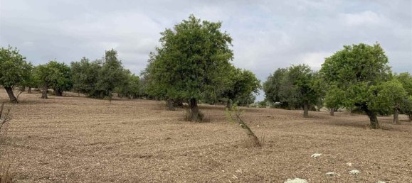 Земельный участок 12979м² в Ното, Италия № 78354 14