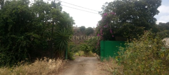 4 bedrooms House in Santa Brigida, Spain No. 151446 15