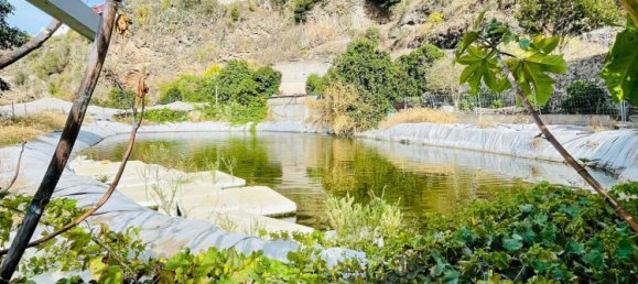 4 bedrooms House in Santa Brigida, Spain No. 151446 19