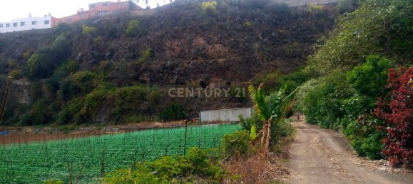 4 bedrooms House in Santa Brigida, Spain No. 151446 14