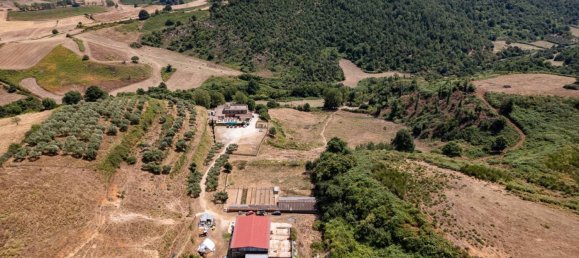 50000m² Land in Artena, Italy No. 44699 4