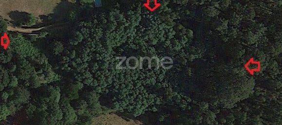 7200m² Land in Seixas, Portugal No. 57810 4