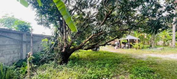 4 bedrooms Cafe / restaurant in Pattaya, Thailand No. 15696 7