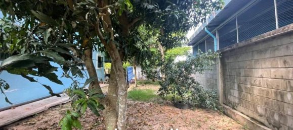 4 bedrooms Cafe / restaurant in Pattaya, Thailand No. 15696 6