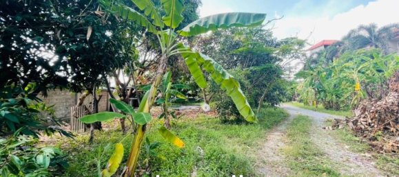 4 bedrooms Cafe / restaurant in Pattaya, Thailand No. 15696 9