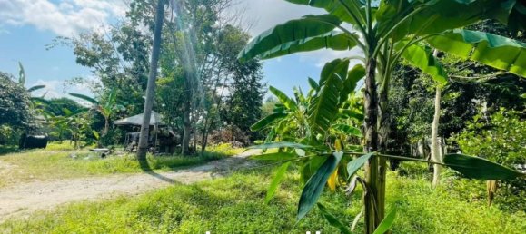 4 bedrooms Cafe / restaurant in Pattaya, Thailand No. 15696 8