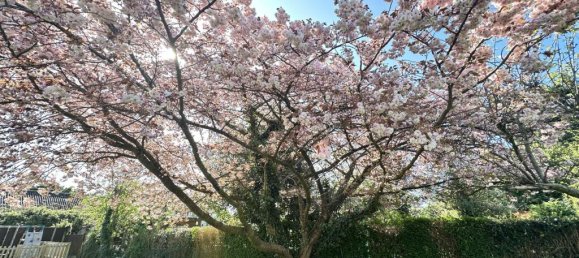 4 bedrooms House in Maidstone, United Kingdom No. 10463 25