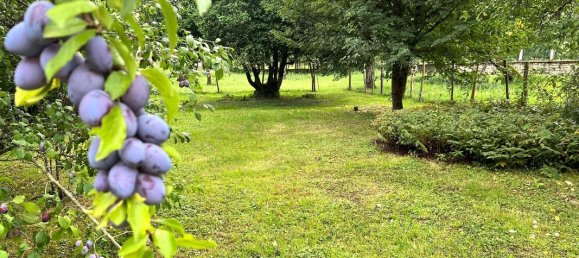 3 bedrooms House in Doubs, France No. 285545 16