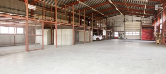 Büro in Fischamend, Austria 3645m², Nr. 115626 4