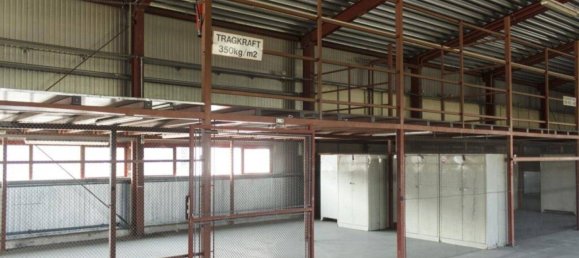 Büro in Fischamend, Austria 3645m², Nr. 115626 8