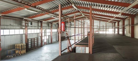 Büro in Fischamend, Austria 3645m², Nr. 115626 2