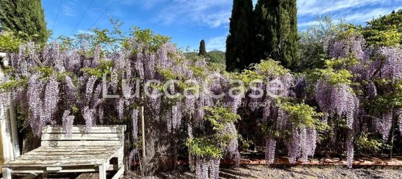 4 bedrooms Villa in Massarosa, Italy No. 81735 8