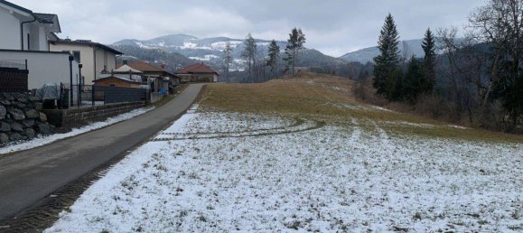 Grundstück in Feldkirchen in Kärnten, Austria 16187m², Nr. 124421 6