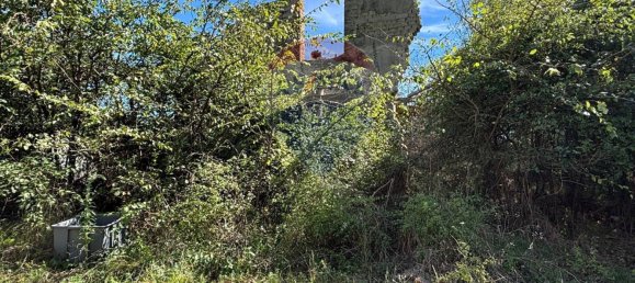 5 bedrooms House in Terranuova Bracciolini, Italy No. 380125 4