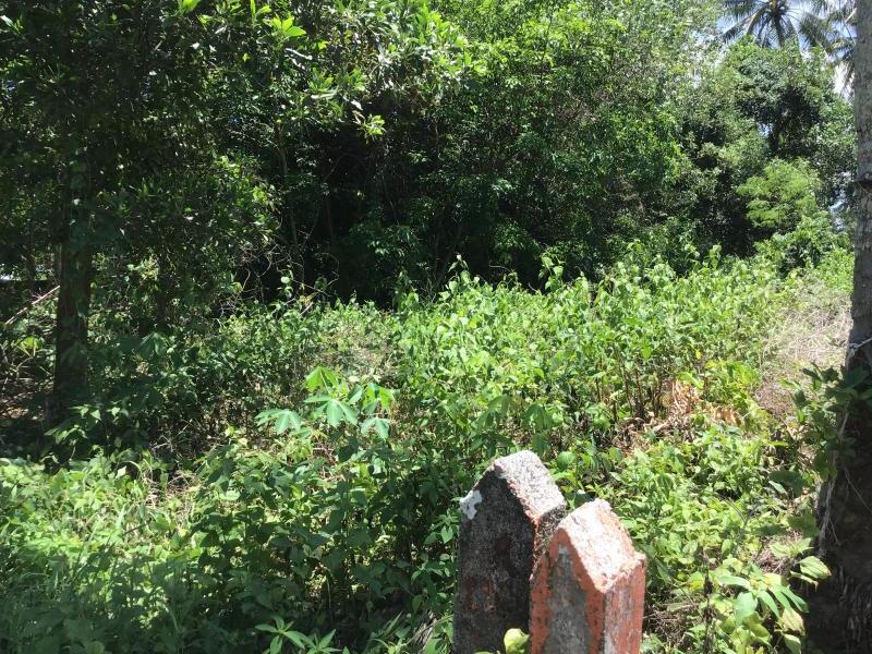 500m² Commercial property in Khok Kloi, Thailand No. 8043