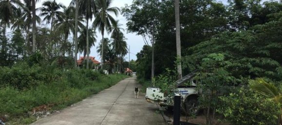 500m² Commercial property in Khok Kloi, Thailand No. 8043 3