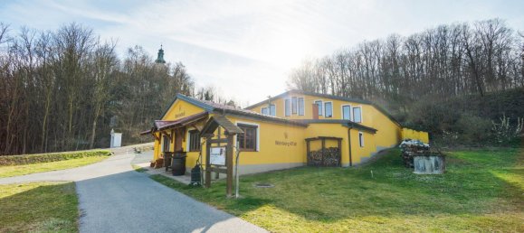 Коммерческая недвижимость 377м² в Эберау, Австрия № 58079 35