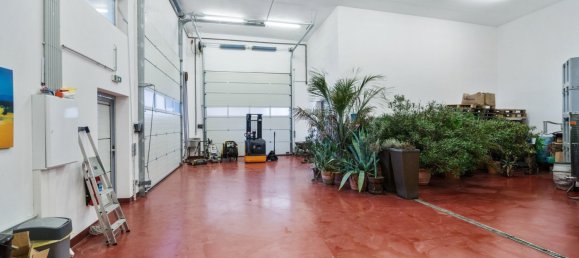 Коммерческая недвижимость 377м² в Эберау, Австрия № 58079 23