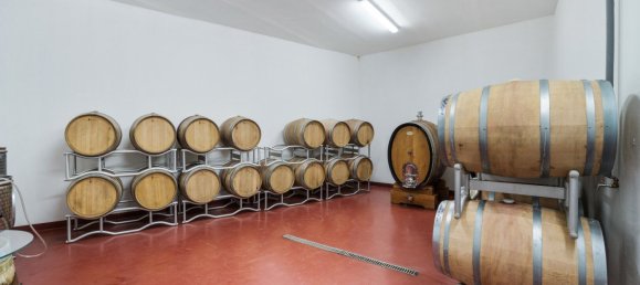 Коммерческая недвижимость 377м² в Эберау, Австрия № 58079 25