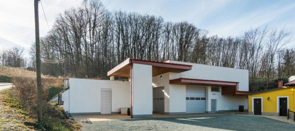 Коммерческая недвижимость 377м² в Эберау, Австрия № 58079 28