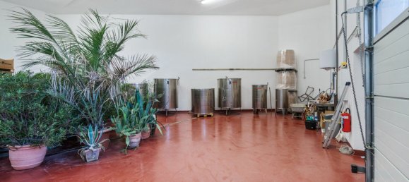 Коммерческая недвижимость 377м² в Эберау, Австрия № 58079 22