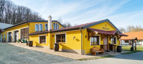 Коммерческая недвижимость 377м² в Эберау, Австрия № 58079 32