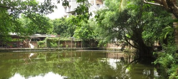 4 Schlafzimmer Haus in Long Bien, Vietnam, Nr. 3965 6