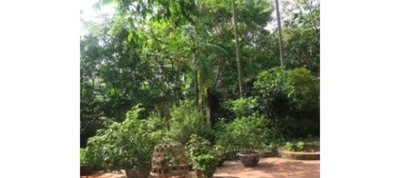 4 Schlafzimmer Haus in Long Bien, Vietnam, Nr. 3965 3