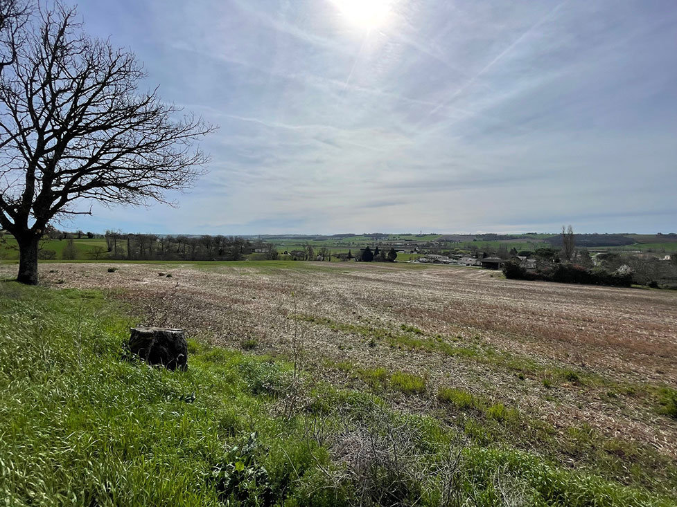 Земельный участок в Верфей, Франция № 100514