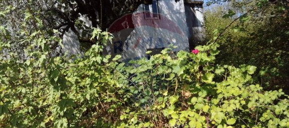 3 bedrooms House in Ansiao, Portugal No. 32535 4