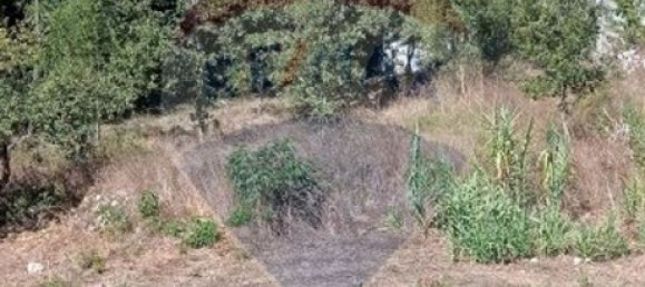 2 bedrooms House in Ansiao, Portugal No. 21941 5