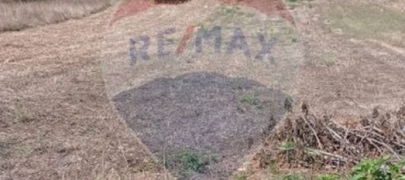 2 bedrooms House in Ansiao, Portugal No. 21941 7