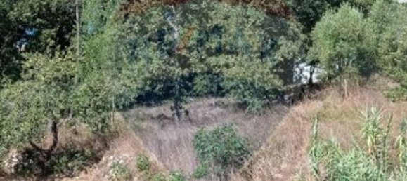 2 bedrooms House in Ansiao, Portugal No. 21941 6