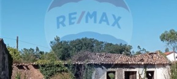 2 bedrooms House in Ansiao, Portugal No. 21941 8