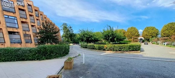 Studio in Santa-Lucia-di-Moriani, France No. 157506 6