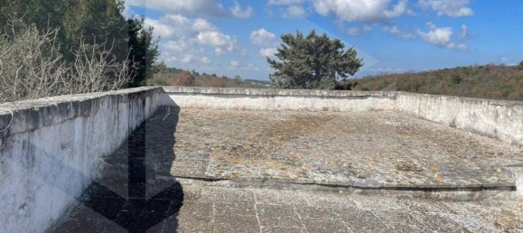 4-Zimmer Villa in Monopoli, Italy, Nr. 17139 25