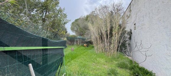 4-Zimmer Villa in Monopoli, Italy, Nr. 17139 8